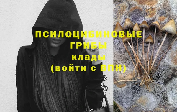 гидропоника Белоозёрский