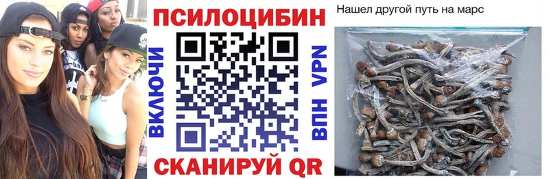 закладка  Воркута  Псилоцибиновые грибы Cubensis 